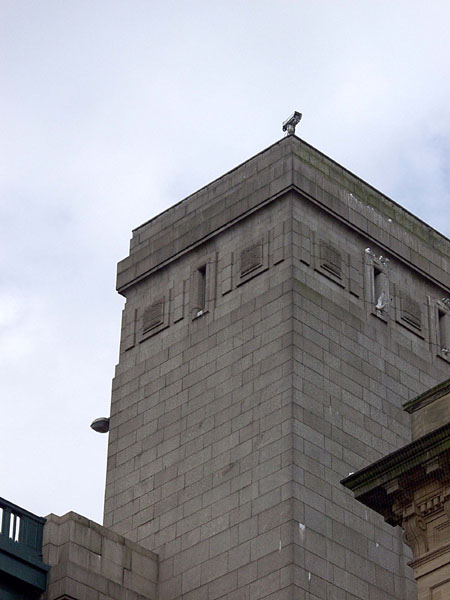 Tbrg_Quayside_N_Tower_Cam